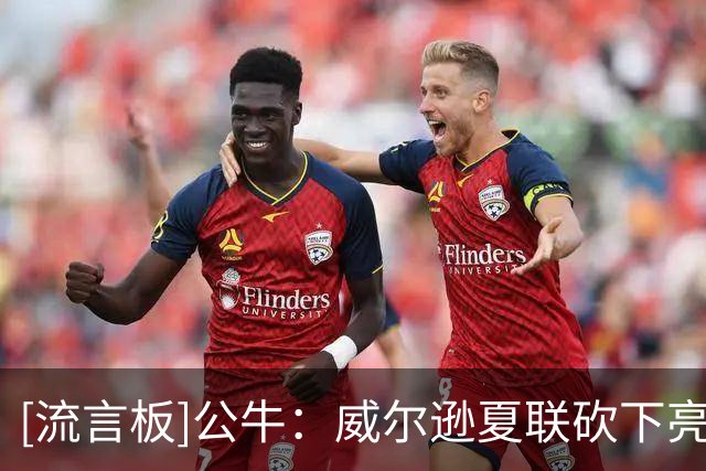 [流言板]公牛：威尔逊夏联砍下亮眼数据，只是开始